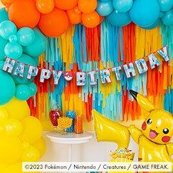 Birthday Party Supplies